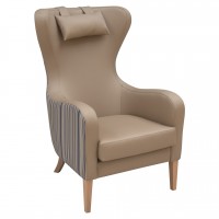 Care Home Classic Wing Chair