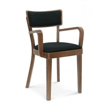Fameg Chair Solid With Arms-0